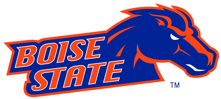 Boise State Broncos 2002-2012 Secondary Logo v9 iron on transfers for clothing